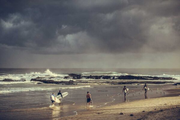 nat morning surf